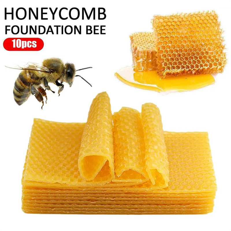 10/20 قطعة صفائح شمع العسل الط - مراجعة Candle Supplies Beeswax وسعره