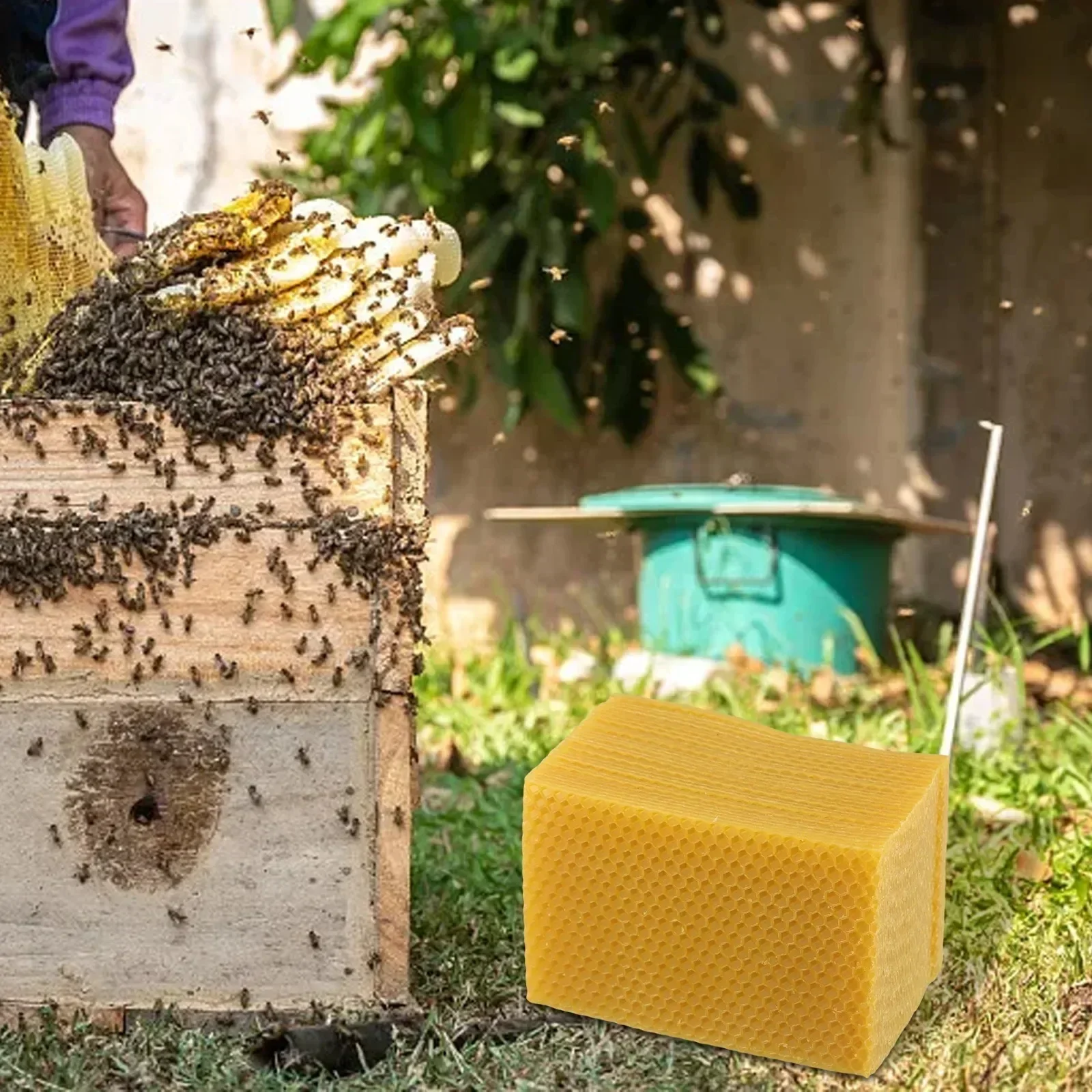 لوازم خلية النحل أساس خلية الن - مراجعة Candle Supplies Beeswax وسعره