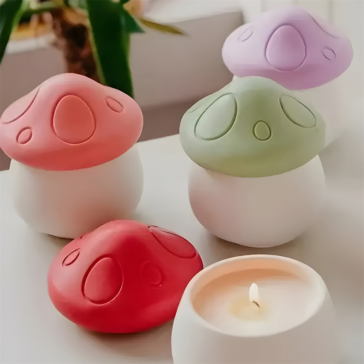 الفطر منزل مجوهرات صندوق تخزين - مراجعة Candle Supplies Jars وسعره